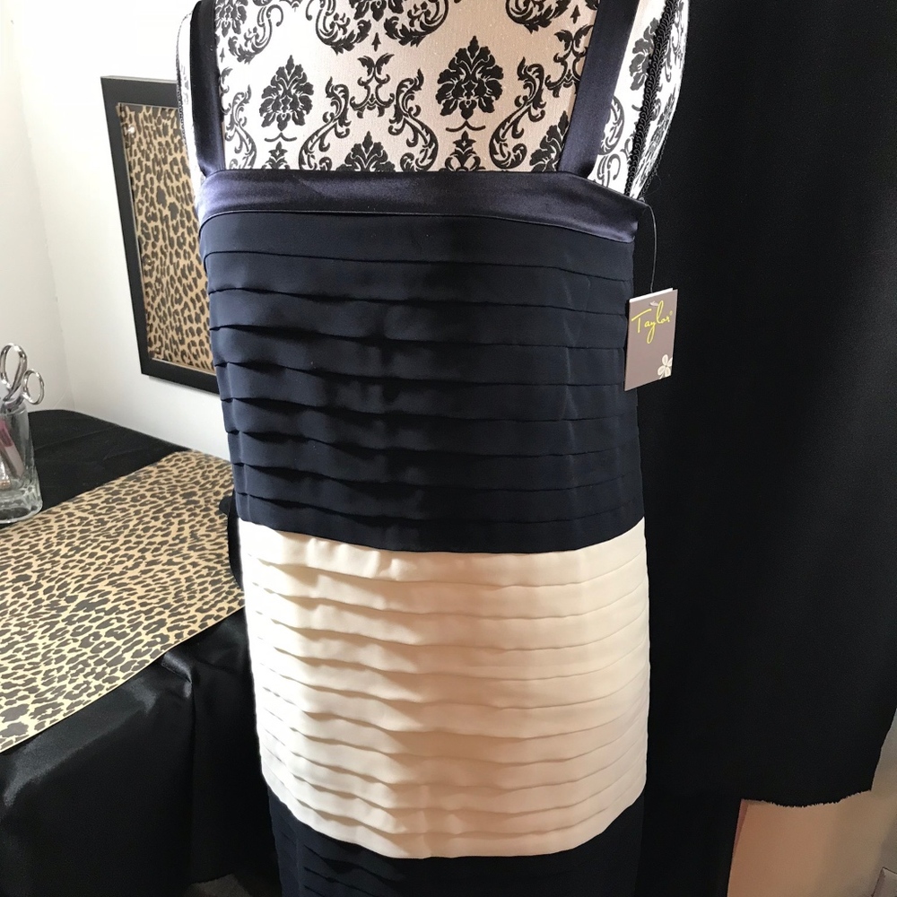 NWT. Taylor Blue and White Dress